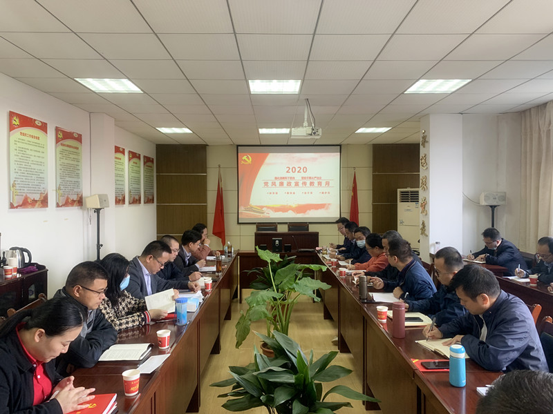 公司认真开展第二十一个党风廉政宣传教育月活动